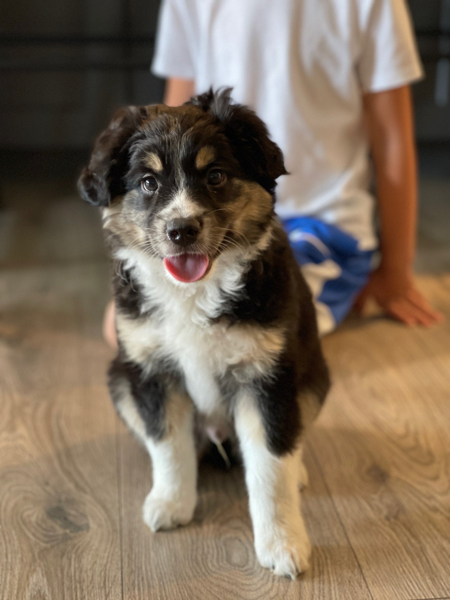 Luca Plushie [PRE ORDER ITEM WILL SHIP MID JANUARY]