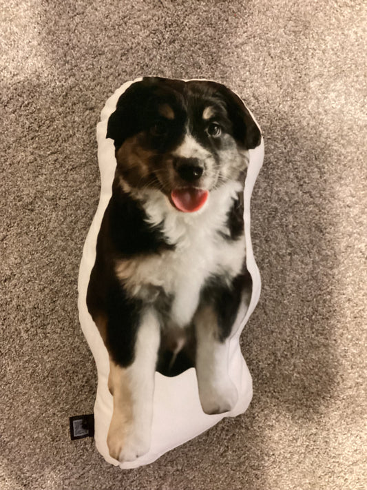 Luca Plushie [PRE ORDER ITEM WILL SHIP MID JANUARY]